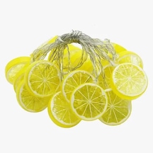 2m 10 Led Pilli Limon Işık Renkli
