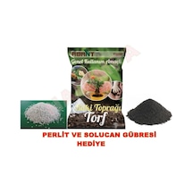 Abant 40 L Çiçek ve Sebze Dikim Torf Toprağı