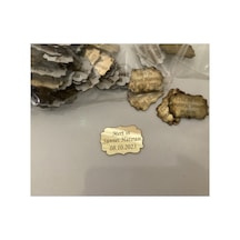 25 Adet 3x2 Cm Arkası Bantlı Pleksi Etiket İsme Özel Pleksi Altın - Gümüş