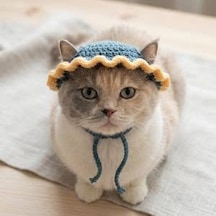 Busako Cat Özel Tasarım Kedi Kıyafeti