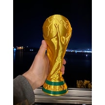 24 Cm