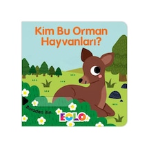 Eolo Kim Bu Orman Hayvanları
