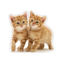 Tekir Kedi Turuncu Yavru Araba Sticker 18Cm Model2