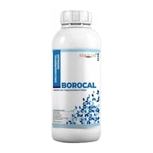 1 L