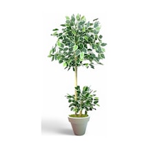 150 Cm Ficus Yapay Ağaç Bambu 2 Gövdeli Beyaz Plastik Saksı Yeşil