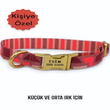 Caramelos Köpek Tasması-küçük Irk Ve Orta Irk İsimli Tasma 13