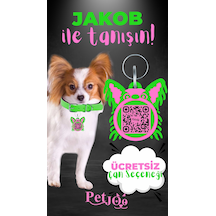 Petjoo 8.Jakob Pembe-Yeşil Qr'lı Köpek Künyesi