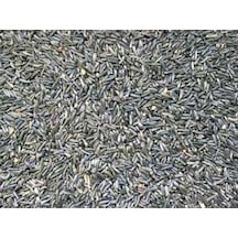 2kg Ni̇jer Tohumu Yemli̇k