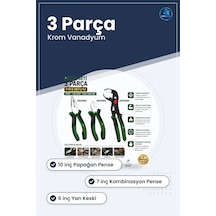 Pense Seti 3 Parça Premium 10 İnç Papağan 7 Kombinasyon 6 Yan Kes