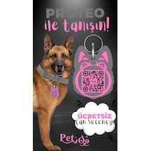 Petjoo 24.Proteo Pembe-Gri Qr'lı Köpek Künyesi