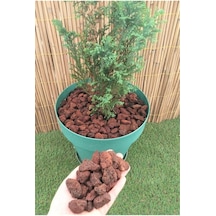 Asenya Pomza Taşı 50 Lt 1-2 Cm Dekoratif Pomza Taşı Kırmızı Pomza Tarım Pomzası Lav Taşı Cüruf Ponza 0