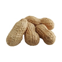 Gürbüzler Kabuklu Yer Fıstığı 250 G