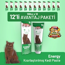 Kısırlaştırılmış Kedi Paste 100 G - 24 Adet