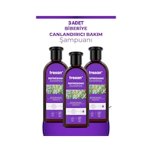 Tresan Biberiye Yağlı Saçlar İçin Bakım Şampuanı 300 Ml 3 Adet Tüm Saçlar