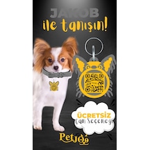 Petjoo 8.Jakob Sarı-Gri Qr'lı Köpek Künyesi