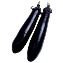 Nadir Siyah Kemer Patlıcan Tohumu Ekim Seti 20 Tohum Saksı Toprak Kombin