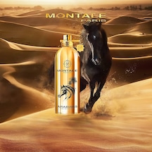 Arabians Edp 100ml Diğer