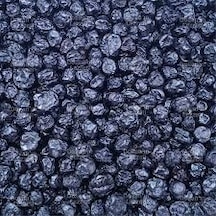 As Baharat Yaban Mersini 250 Gr 1. Kalite