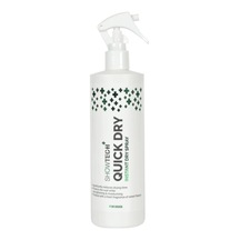 Show Tech+ Quick Dry Kurutma Süresini Kısaltan Tüy Spreyi 400 Ml - Islaktan Kuruya Bir Anda