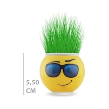 Çim Adam Saksı Emoji Figürlü 1 Adet Renkli