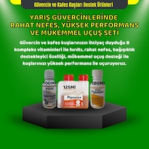 Royal Yarış Güvercinlerinde Mini Rahat Nefes Yüksek Performans Ve Mükemmel Uçuş Seti