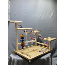 Paks Pet Kuş Oyun Parkı No:15