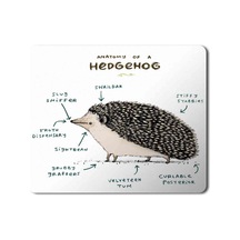 Kirpi Anatomisi Hedgehog Anatomy Mouse Pad Mousepad