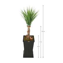 Yapay Çiçek Deposu Ahşap Saksıda Yapay Trpoikal Yucca Ağacı 125 Cm