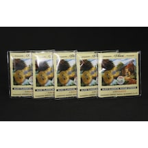 Alice 5 Paket Klasik Gitar Teli-5 Set Bir Arada
