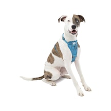 Köpek Koşum Takımı Pet Walking Koşum Takımı No Pull Koşum Ön Klips Fonksiyonu Antrenman İçin Araç Emniy Çok Renkli