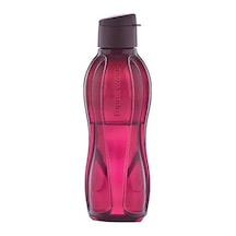 Eko Şişe 750 Ml Bordo Pratik Bordo