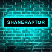 Willowhaven 1 Adet Font 1 Kişiselleştirilebilir Oyuncu İsmi 11.81 X 2.36 Inch Usb Led Renk Değiştiren Duş Aydınlatma Modern Oda Duvar Lambası Hediye Ahşap