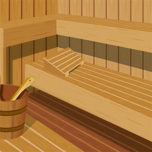 Hg Hijyenik Sauna Temizleyici
