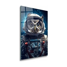 Astronot Kasklı Baykuş Çerçevesiz Cam Tablo