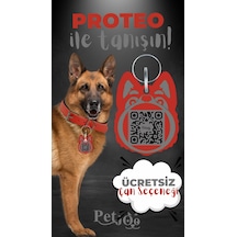 Petjoo 24.Proteo Gri-Kırmızı Qr'lı Köpek Künyesi
