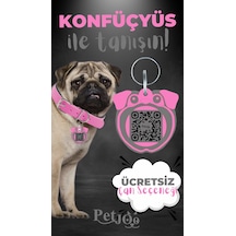 Petjoo 9.Konfüçyüs Gri-Pembe Qr'lı Köpek Künyesi