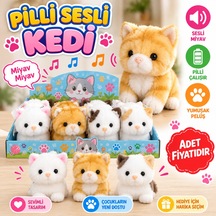 Kedi