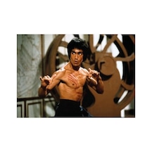 1000 Parça Bruce Lee Temalı Eğlenceli Bulmaca