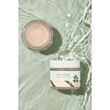 Defacto Round Lab - Mugwort Calming Cream (Nem ve Hidrasyon Yükselten Kızarıklık Karşıtı Mugwortlu Krem) 80ml H1052AXNS