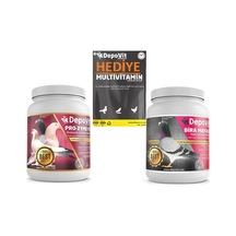 2'li Destek Seti Hediyeli Ürün Depovit Bira Mayası+depovit Prozyme F5 Probiyotik Ve Multienzimler