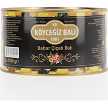 Köyceğiz Balı Bahar Çiçek Balı Teneke 1850 G