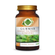 Gökçek Şifa Gurmar Toz Eki 100 G