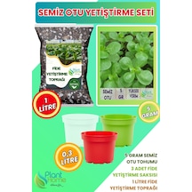 Semizotu Yetiştirme Seti Semizotu Tohumu + Cocopeat & Perlit Katkılı Fide Toprağı + Drenajlı Saksı