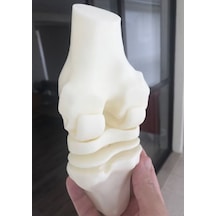 Diz Eklemi Modeli - Diz Eklemi Maketi