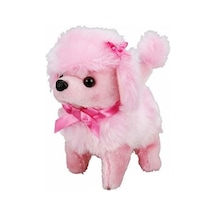 Sunman Sevimli Köpek Poodle