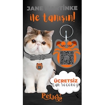Petjoo 5.Jane Martinke Turuncu-Gri Qr'lı Kedi Künyesi