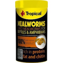 Tropical Meal Worms Kurutulmuş Un Kurdu 100 Ml / 13 Gr