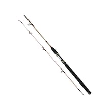 Pinorex Pegasus 2.40m 100-200gr 2 Parça Kamış