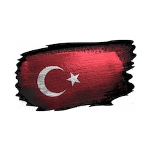 Türk Bayrağı Sticker 01969