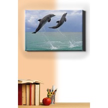 Webstyle Sayılarla Boyama Seti Kasnaklı Yunusların Selamı 60 X 75 Cm